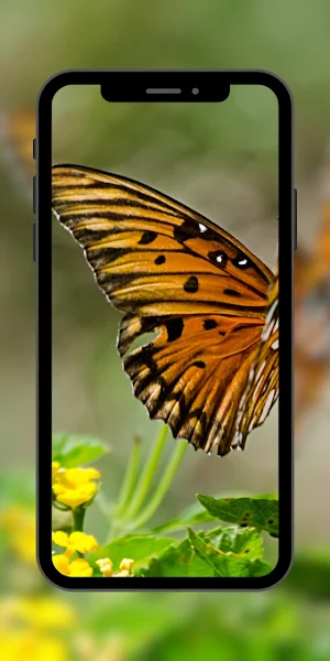 Butterfly Wallpaper Aesthetic Screenshot 1