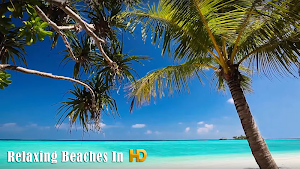 Relaxing Beaches In HD Screenshot 3