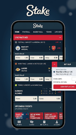 Stake Casino Screenshot 2