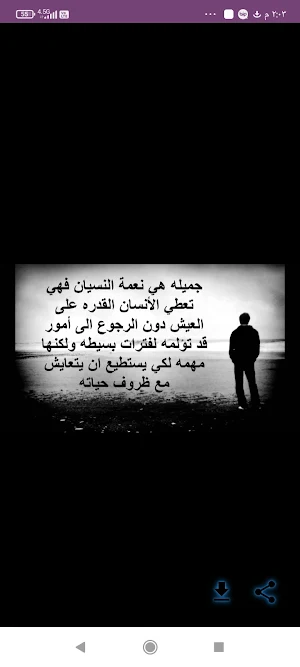 الشعر العربي بدون نترنت بالصور Screenshot 2