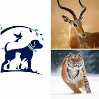 Animals  Information
