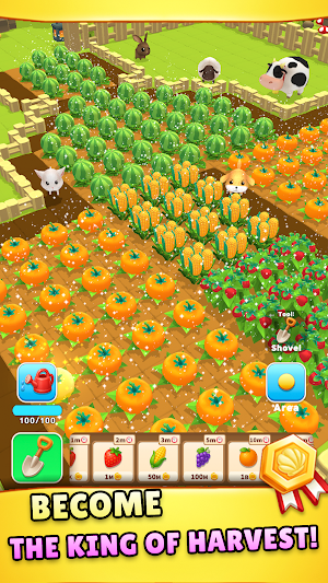 My Beautiful Farm Screenshot 3