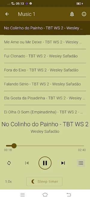 Wesley Safadão Musica Offline Screenshot 2