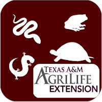 Reptiles & Amphibians of TX