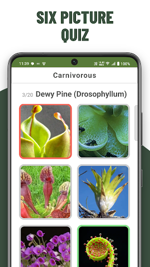 Plants Quiz Guess Trees Screenshot 2