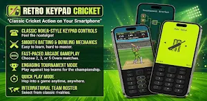 OG Cricket Game -Retro 2D Game Screenshot 0