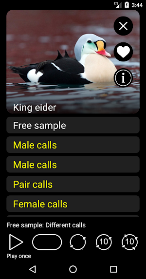 Birds of North America: Songs, Calls & Decoys Screenshot 2