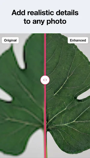 Deep Image: Photo Enhancer Screenshot 3