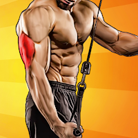 Effective Triceps Exercises