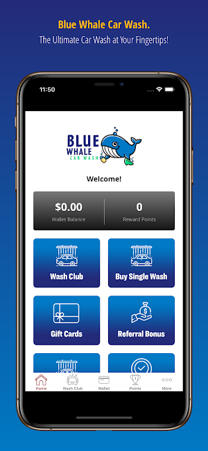 Blue Whale Car Wash Screenshot 0