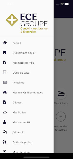ECE Groupe Screenshot 1