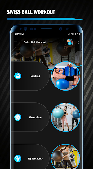 Stability Ball Workout Swiss Screenshot 0