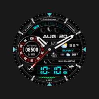 SamWatch AD Neon II