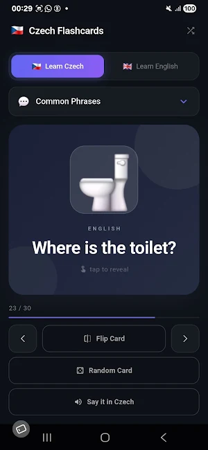 Learn Czech: Flashcards Screenshot 2