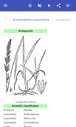 Forage plants Screenshot 2
