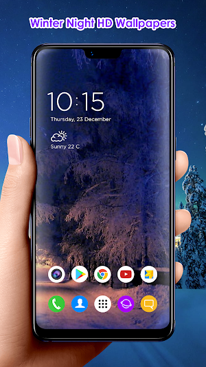 Winter Night HD Wallpapers Screenshot 3