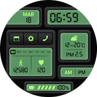 TicWatch Handheld era
