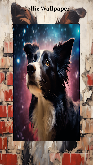 Border Collie Wallpapers Screenshot 0