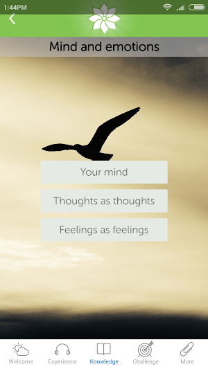 Mindfulness: 2012 Screenshot 3