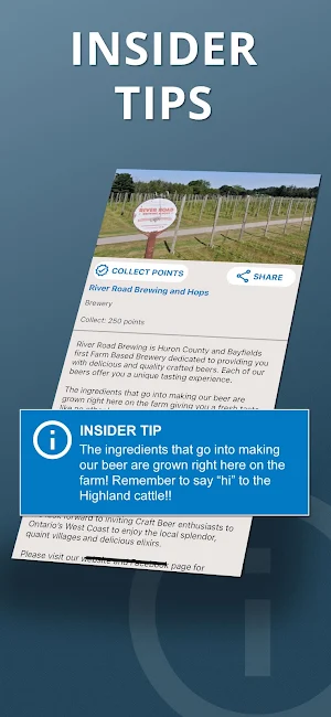 Taste of Huron Screenshot 2