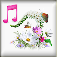 Nature Sounds Ringtones