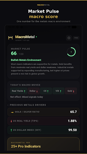 MacroMetal: Gold Price Tracker Screenshot 3