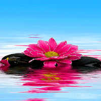 Shiny Pink Flower LWP