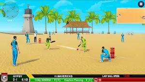 Street Cricket Championship Screenshot 2