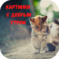 картинки с добрым утром
