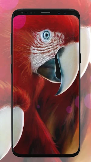 Parrot Wallpaper Screenshot 0