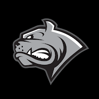 Dornbirn Bulldogs