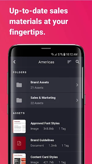 BAM! Mobile Sales Tool Screenshot 2