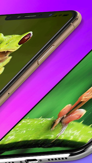 Frog Wallpaper Cute Screenshot 3