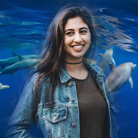 Dolphin Photo Editor & Frames