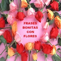 Flores y Frases Bonitas