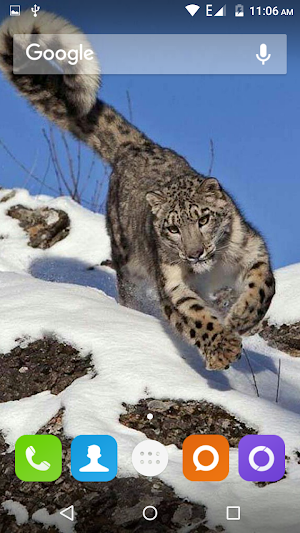 Snow Leopard Hd Wallpaper Screenshot 0