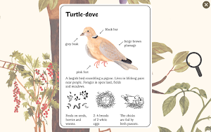 Little Mouse's Encyclopedia Screenshot 3
