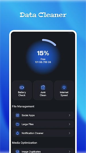 Data Cleaner Screenshot 1
