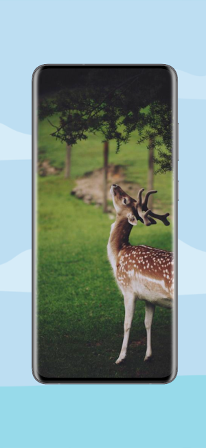 Cute Animal Wallpapers 4K Screenshot 1