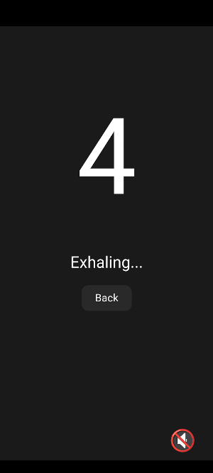 THE BREATHING ROOM Screenshot 3