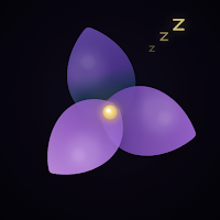 Night Bloom