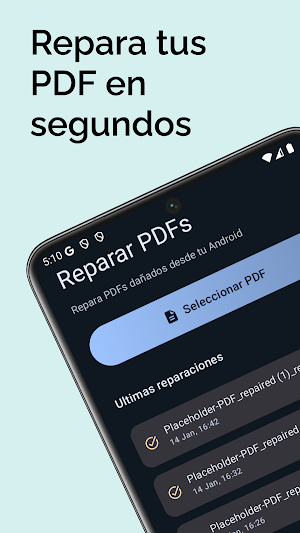 Repair PDF Screenshot 0