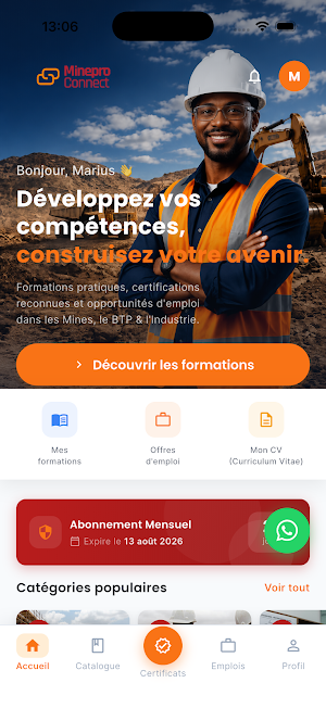 ProMiner Screenshot 0