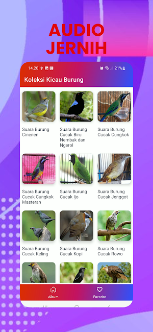 Suara Kicau Burung Offline MP3 Screenshot 2