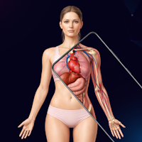 XrayOn: Body Scanner Simulator