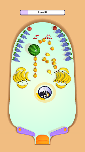 Pinb Hole Screenshot 1