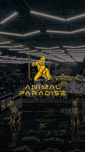 Animal Paradise Gym Screenshot 0