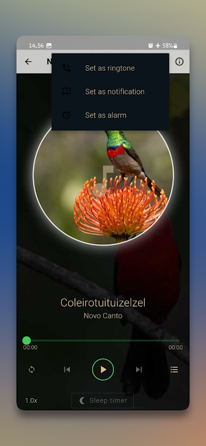 Novo Canto dos Pássaros Screenshot 3