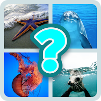 GUESS SEA ANIMALS !