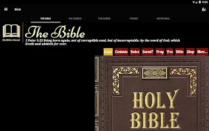 Bible - Bibles4Free.com Screenshot 3